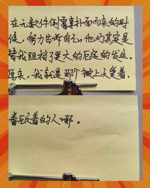 总要习惯一个人在线阅读 - 完整版免费章节与全文阅读
