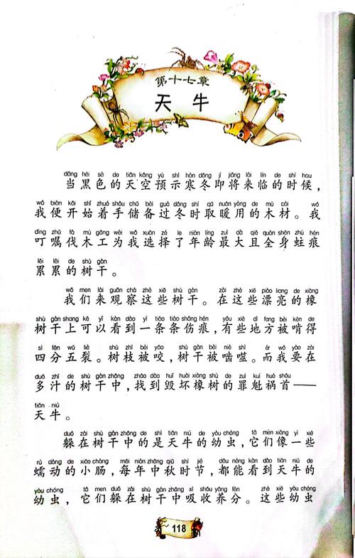 公么与儿女息免费全文在线阅读 | 家庭情感小说