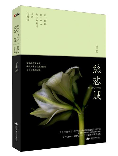 慈悲城在线全文阅读 | 无删减完整版小说免费阅读
