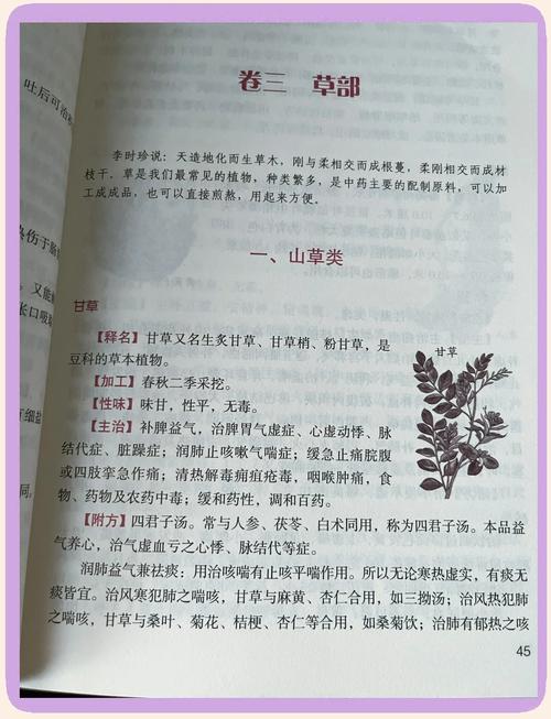 许飞小说全文在线阅读 | 热门小说免费在线看