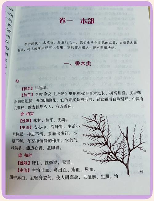 斗罗大陆全集在线阅读：唐家三少经典玄幻小说免费无弹窗