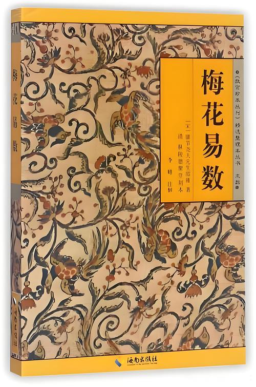 回娘家无删减版全文免费在线阅读-完整章节无省略