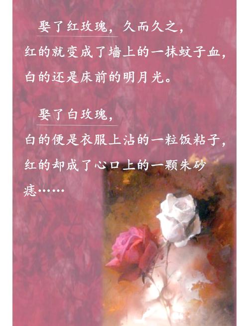 废后将军全文免费在线阅读 | 古风虐恋言情小说