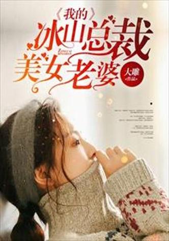 我老婆是冰山女总裁_全文在线阅读_热门都市小说