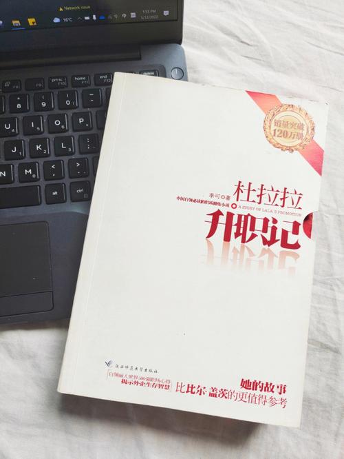 杜拉拉升职记在线阅读 | 职场生存与晋升指南