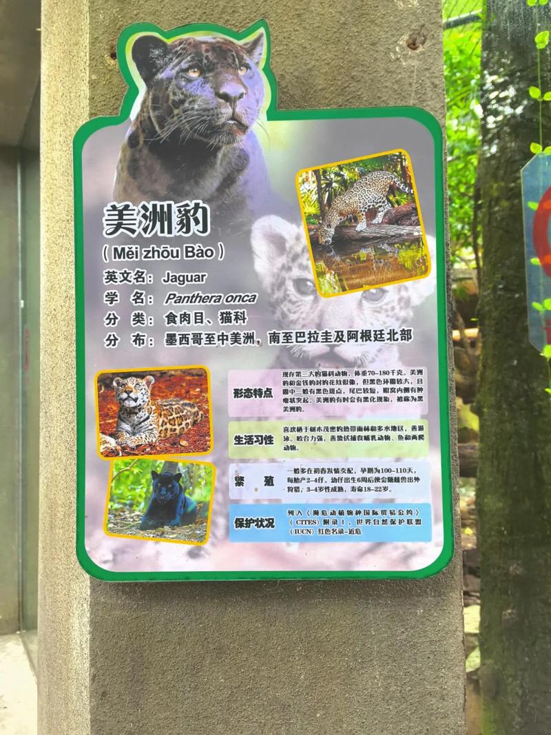斗罗大陆1在线阅读 | 唐三小舞封神之路，原著小说免费看