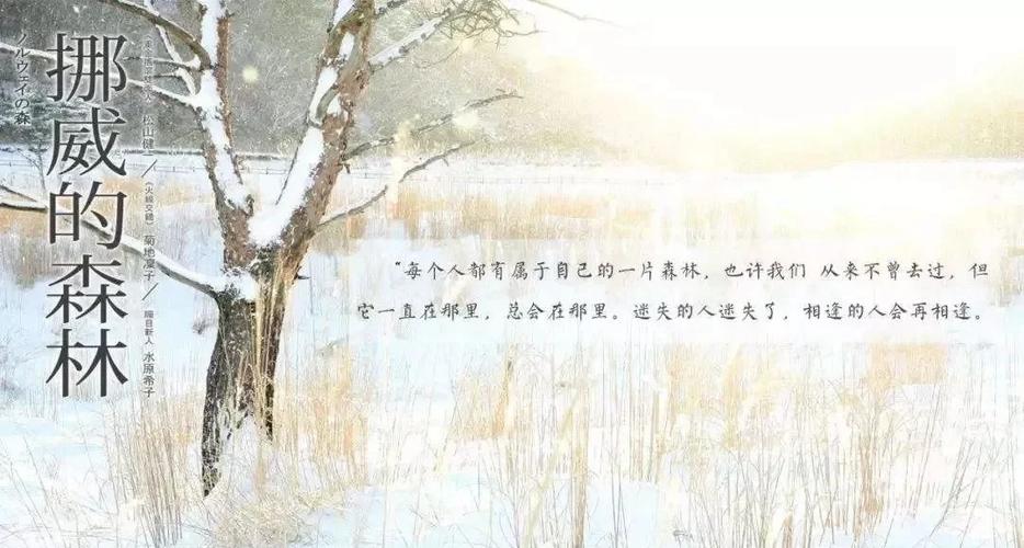 完美世界小说在线阅读 | 辰东经典仙侠巨作