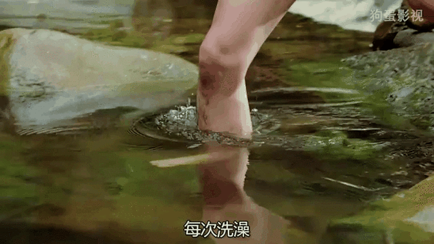 和你诉说爱情全文在线阅读 | 深情治愈系小说