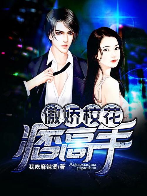 傲娇校花痞高手：全文在线阅读，免费章节无删减