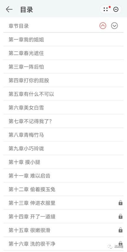 她比烟花还耀眼在线阅读的相关介绍