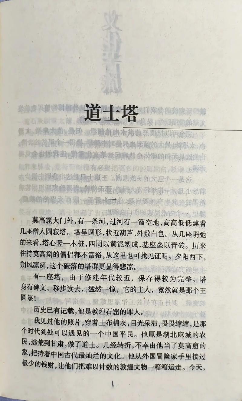 我们的四十年小说全文免费在线阅读_完整版