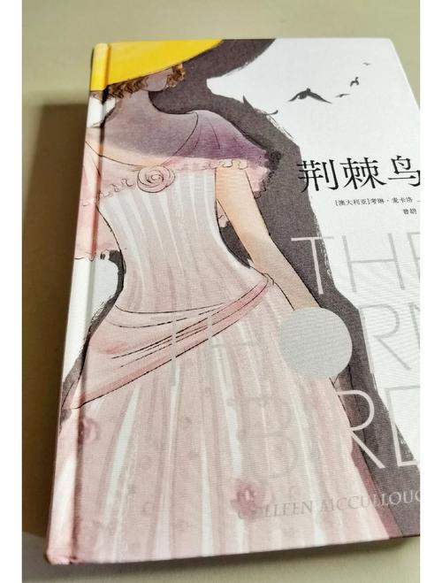 荆棘鸟在线阅读 | 经典爱情小说全文免费阅读