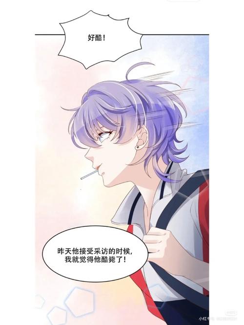 掠婚小说免费阅读在线|热门全文无删减版