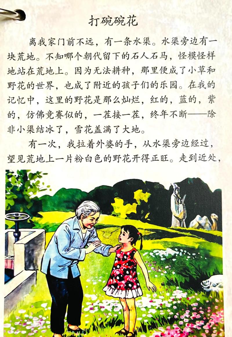 乐可金银花全文免费阅读在线笔趣阁软件下载