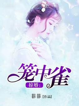 掠婚小说免费阅读在线 | 热门言情全文无广告