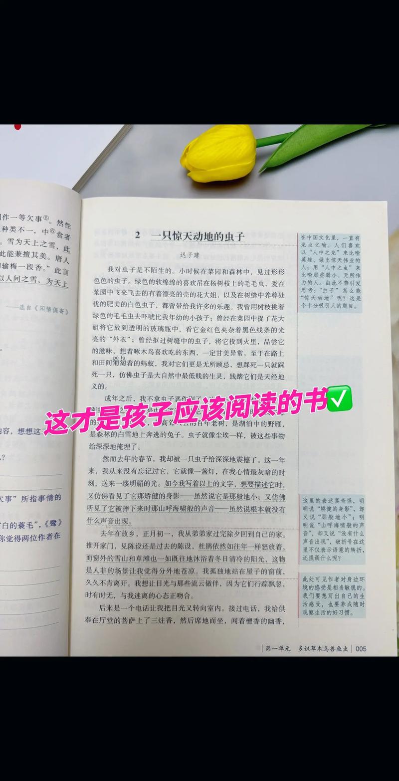 小黄文在线阅读全集｜热门小说合集免费看