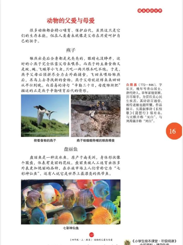 麻雀全文在线阅读 - 经典文学作品免费阅读