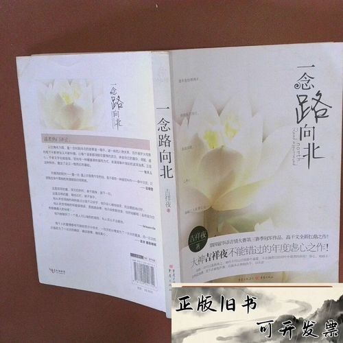 洛丽塔在线阅读 | 纳博科夫经典小说全文免费阅读