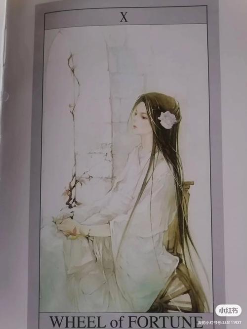 镜沧月小说全文免费阅读_镜沧月最新章节列表_无弹窗