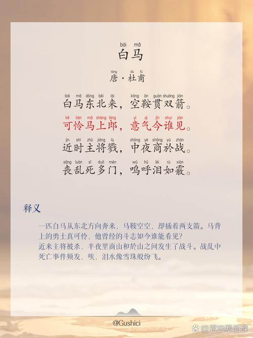 只宠你一人全文免费在线阅读 | 热门小说推荐