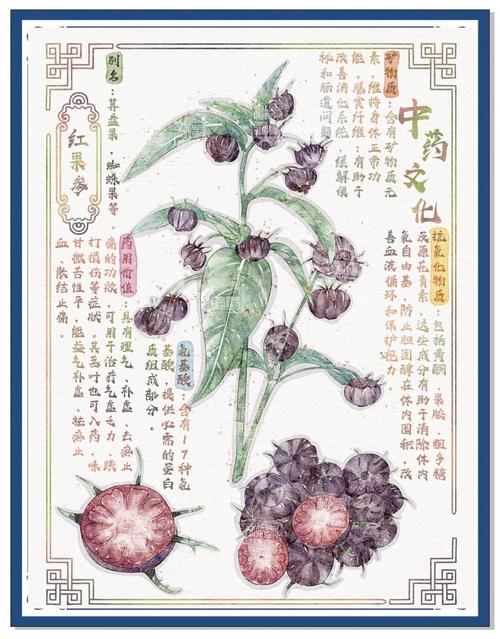 斗罗大陆小说免费阅读全文|在线正版资源一键追更