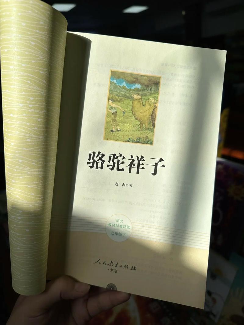 目送全文免费在线阅读 - 龙应台经典散文作品