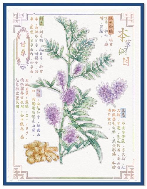 唐悠悠季枭寒全文免费阅读 | 热门小说在线无广告
