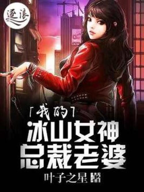 我老婆是冰山女总裁_全文在线阅读_热门都市小说