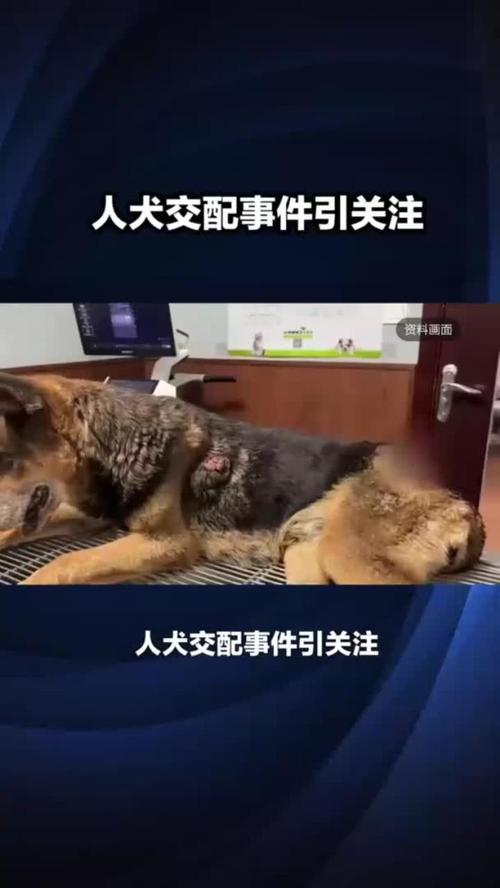 活色生香全文免费在线阅读 | 热门小说无弹窗